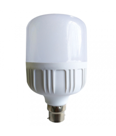 Lampe LED 20W - 7500K B22