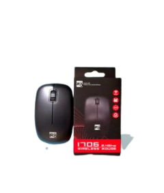 SOURIS SANS FIL R8 1706