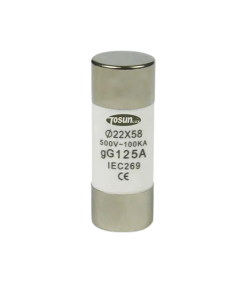 Fusible cylindrique 125A 22*58